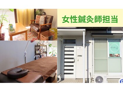 はりめぐりの写真