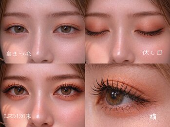 チック(chick)/LEDブラウン120束