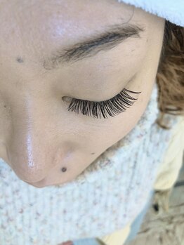 フェイン 青山店(fein.)/フラットラッシュ140本