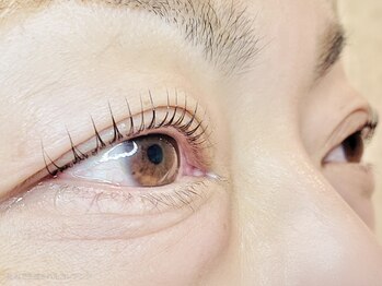 プテラス(Private Pterath)の写真/《まつ毛は顔の印象を左右する大切なパーツ》落ち着いた空間と確かな技術で、目元に自信を♪