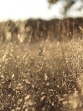 ニューディール 大通店(New deal)&nbsp;Newdeal スタッフ