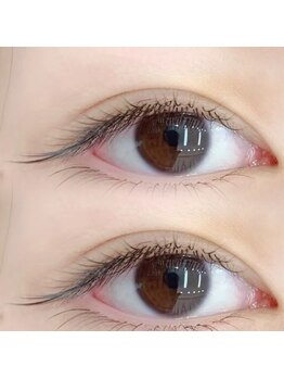 チルザルト サロン/フラットラッシュ 上下