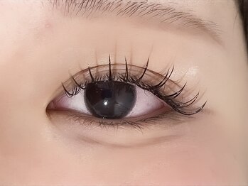 シュシュ(Shu Shu)の写真/【フラットラッシュつけ放題8900円】自まつげ風×モチ重視の新定番[成城学園前駅1分]