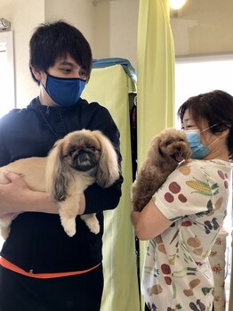 ルナスポット/生徒さんのわんちゃん