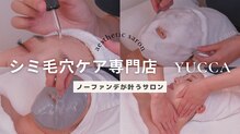 ユッカ(yucca)