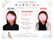 ヨサパーク ハルル まるやま(YOSA PARK Haruru)の雰囲気（美と健康どちらも叶えたい貴方に！ぷるるんお肌になります♪）