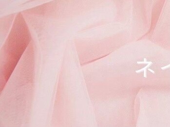 プラチナムドール 和歌山店(PLATINUM DOLL)/まつげパーマ/マツエク和歌山