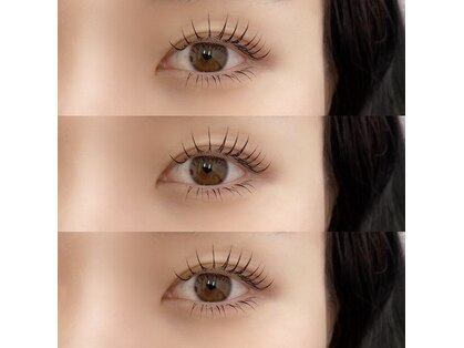 ラッシュベイビー(LASH Baby)の写真