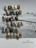 Ayaka指名限定★《HAND》オリジナルデザイン［Ayaka＋500円となります］