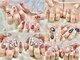 ミラクルネイル(Miracle Nail)の写真