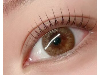 ザ ネイル(The Nail)/パリジェンラッシュリフト