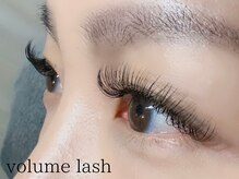 アネロ(anello)/ボリューム300本