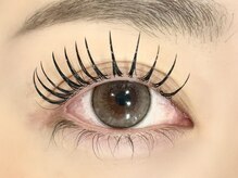 ローバー(ROVER)/