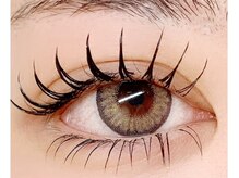 プラータ(PLATA)/フラット240本☆