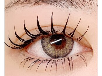 プラータ(PLATA)/フラット240本☆