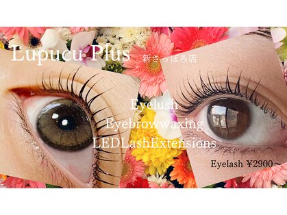 ルプーチュ プラス(LUPUCU PLUS)の写真