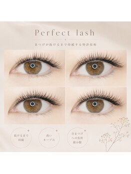 チャーム 近江八幡店(Charm)/Perfect lash