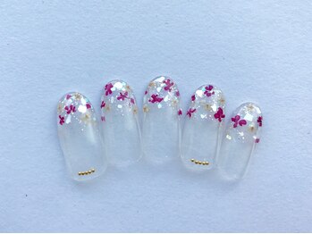 コエル(coel)/シェル ドライフラワー