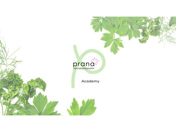 スクール併設アロマテラピーサロン ラシエスタ/アロマスクール併設