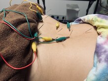 スリープシープ(Sleep Sheep)/【日々のメンテナンス】腰痛