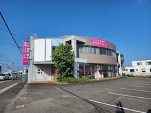 アップルミント/外観