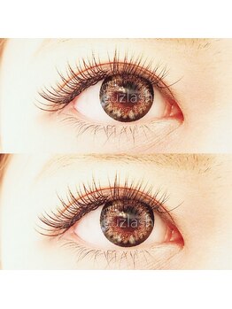 ルースラッシュ 秋葉原店(Luzlash)/セーブルエクステ