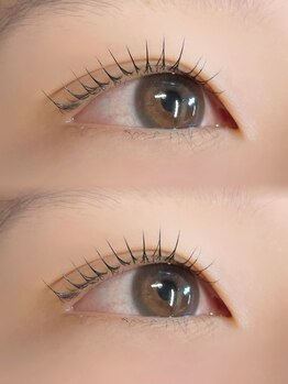 ロアブロウ 高知(LOA-brow)/つちもと担当★ラッシュリフト