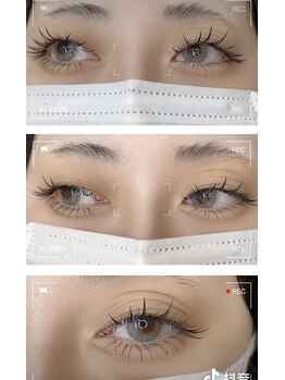 アオイ アイラッシュ 大久保店/猫系ワンホン600 本