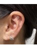 【夏の特別キャンペーン価格】耳ツボジュエリー12粒¥2300