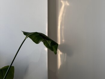 ラビスネイルエス アドー(ravisnail-Es- adore)/