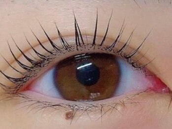 メモト 四条烏丸店(memoto)/まつげパーマ