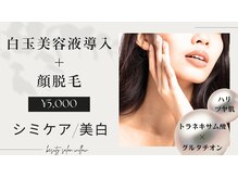 ウィロー