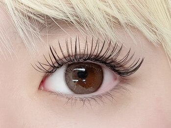 リプリ(RePuli)/ダブルフラット100束