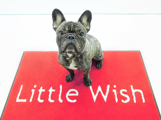 Little Wish　リトルウィッシュ　新横浜店