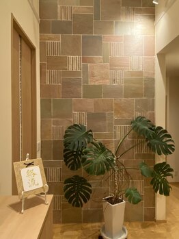 絡流(Rakuryu)/モンステラがお出迎え♪