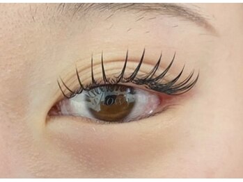 ショウイー 本店(Showy)/フラットラッシュ