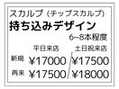チップスカルプ