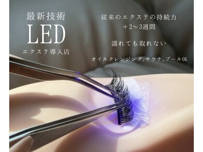 コクーン(Cocoon)の写真