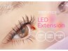 【初回／新規限定】最新☆LEDシームレスフラットラッシュ100本¥7000