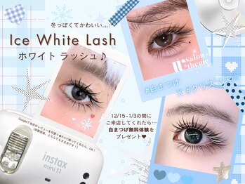 ダブルテーマ(W Theme)