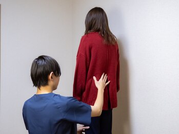 カラダプラス(カラダ+)/姿勢の分析