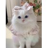 イーネイル 高田馬場店(ENAIL)のお店ロゴ