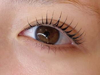 シェリエボーテ 中庄店(cherie*beaute)の写真/最新トレンド★『ブラックティントマスカラパーマ』で目元ばっちり上品黒艶まつげ仕上げに♪