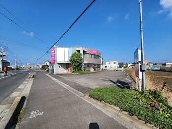 アップルミント/外観