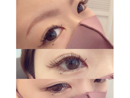 コマチ(Comachi)の写真