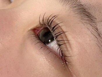 クラウン 心斎橋店(CROWN)/まつ毛パーマ