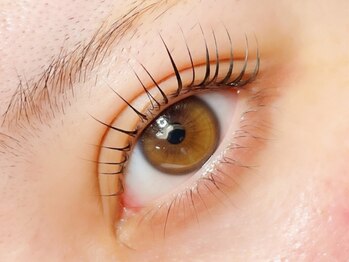 Mil【ミル】の写真/【磐田市希少☆】特許取得の"UPforceLift"導入店!自まつ毛をケアしながらできるカラートリートメントも◎