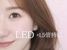 【LEDでモチ1.5倍】フラット120本￥5900 / LED変更半額