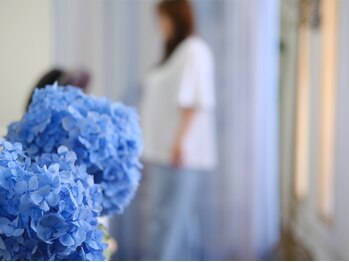 シエルブルー Ciel-bleu/ciel-bleu