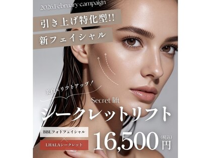 ヘラ(HERA)の写真